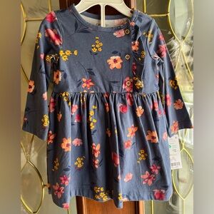 NWT Carter’s Blue Floral Ruffle Front Dress w/Bloomers Set Baby Girl Size 12M